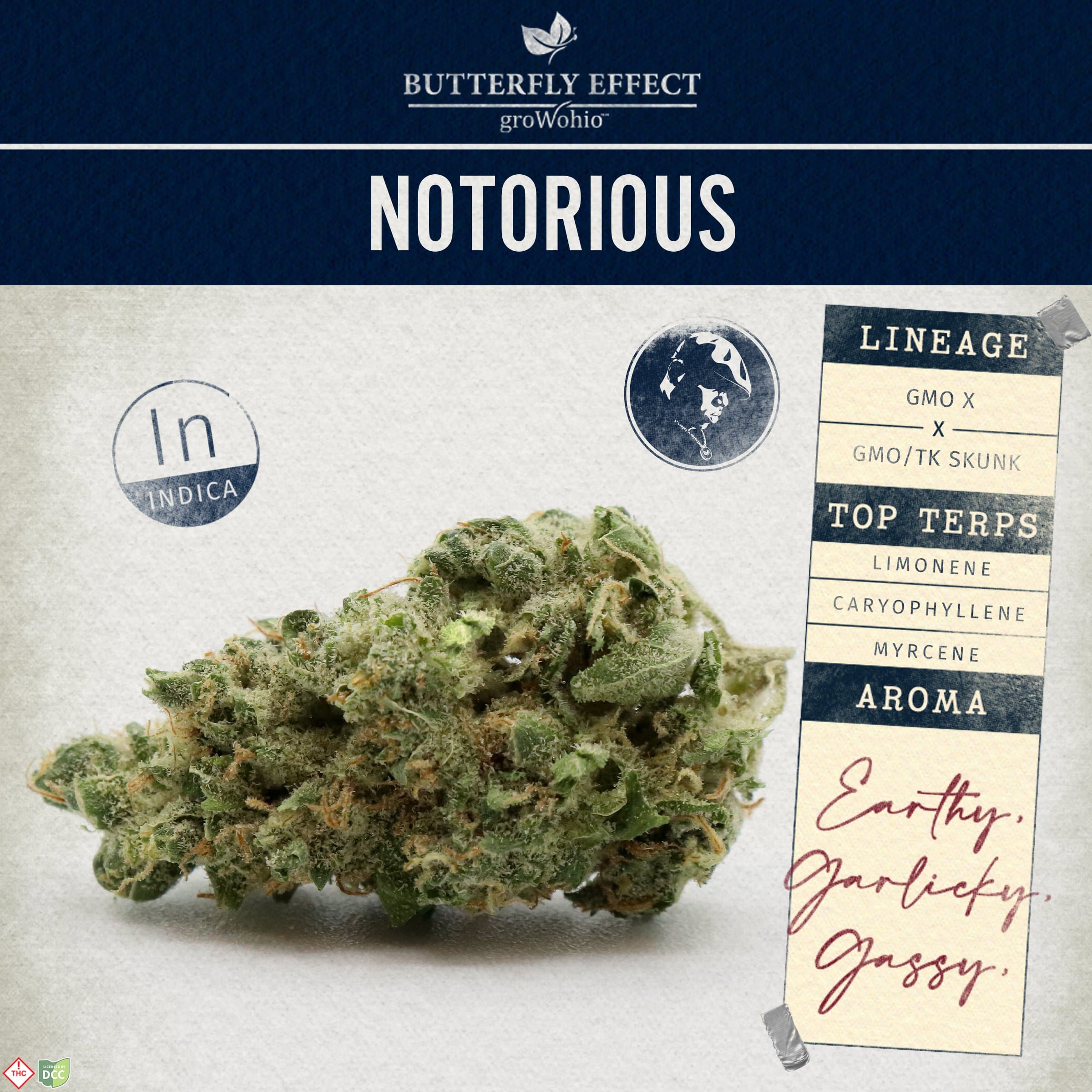 Notorious [2.83g]