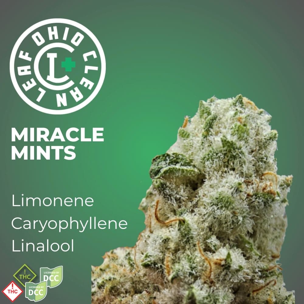 Miracle Mints [2.83g]