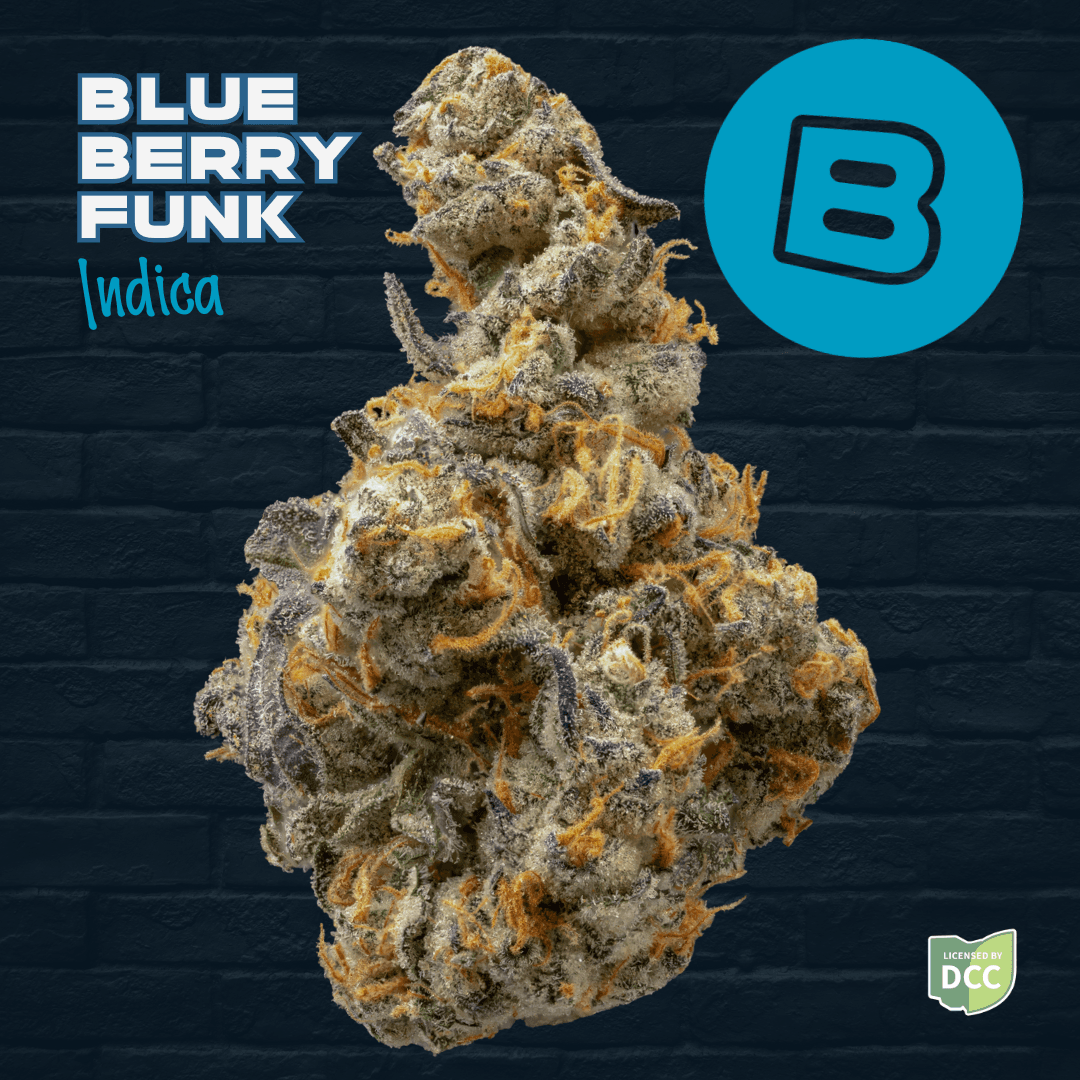 BUCKEYE RELIEF - BLUEBERRY FUNK  INDICA