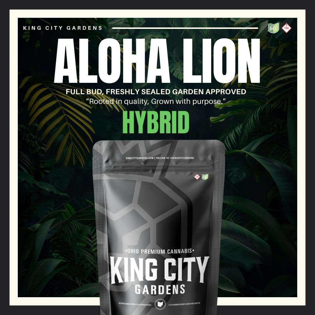 KING CITY GARDENS - ALOHA LION  HYBRID