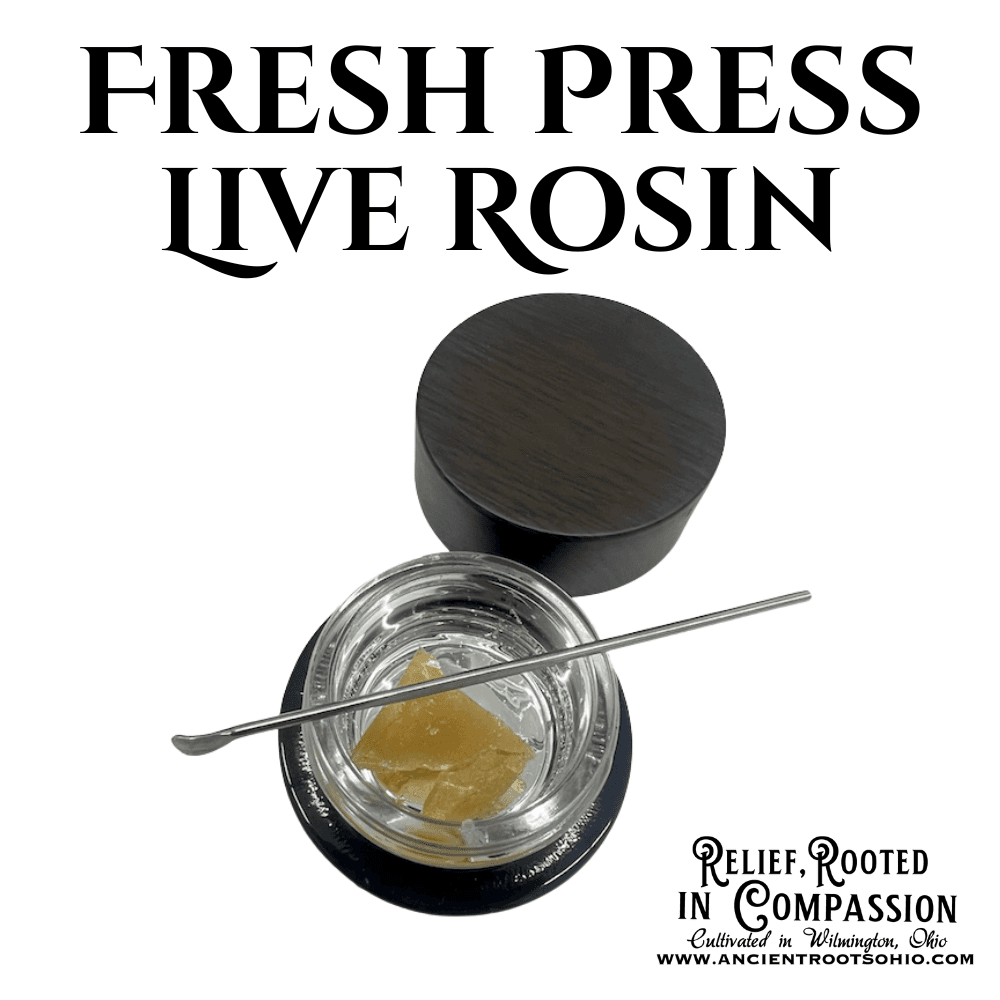 ANCIENT ROOTS  CHIMERA #3  FRESH PRESS LIVE ROSIN  INDICA