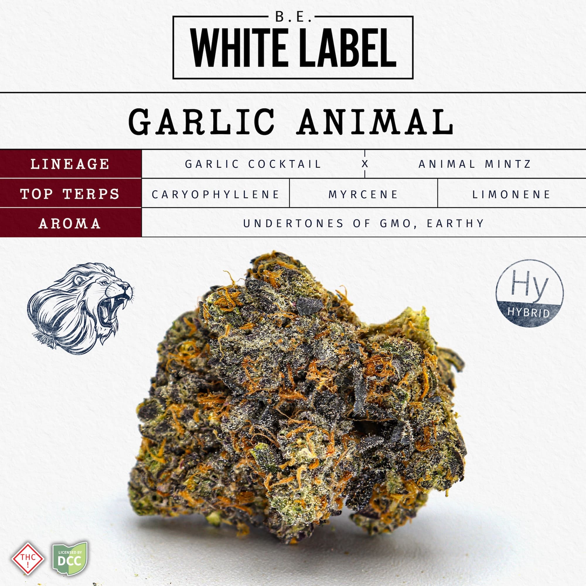 BUTTERFLY EFFECT - GARLIC ANIMAL - WHITE LABEL - [2.83G] - HYBRID