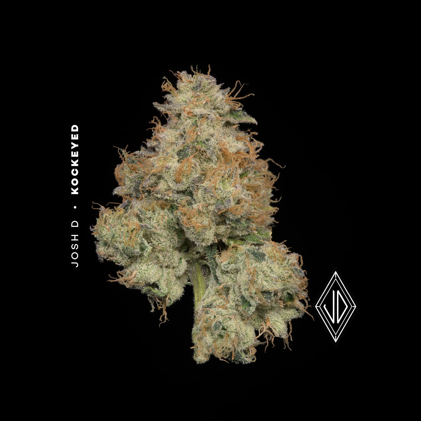 KLUTCH - KOCKEYED - [2.83G] - INDICA