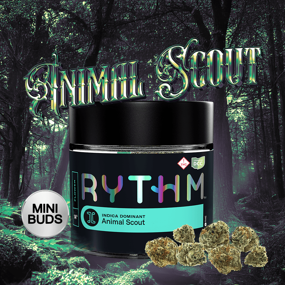 RYTHM - ANIMAL SCOUT - POPCORN - [14.15G] - INDICA