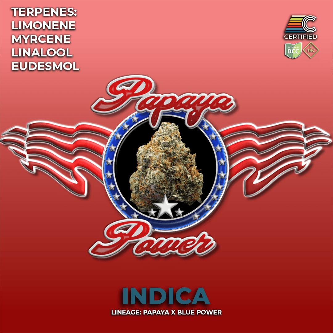 CERTIFIED CULTIVATORS - PAPAYA POWER - [2.83G] - INDICA