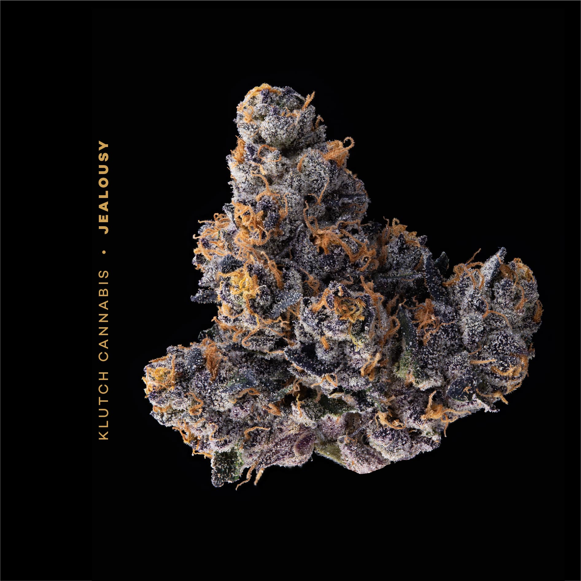 KLUTCH - JEALOUSY - [14.15G] - INDICA