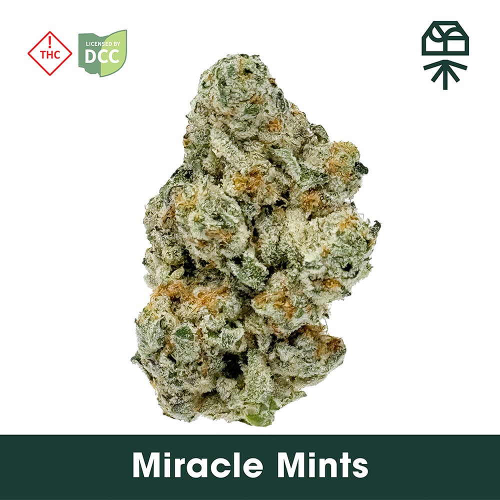 GRASSROOTS - MIRACLE MINTS - SMALLS - [14.15G] -INDICA