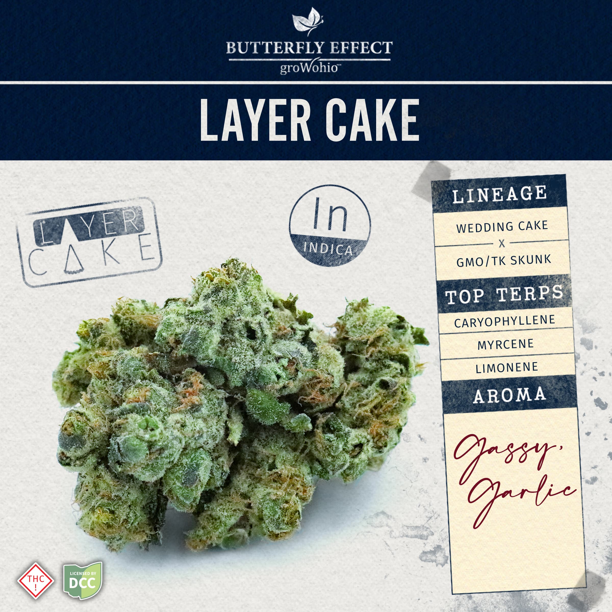 BUTTERFLY EFFECT - LAYER CAKE - [2.83G] - INDICA