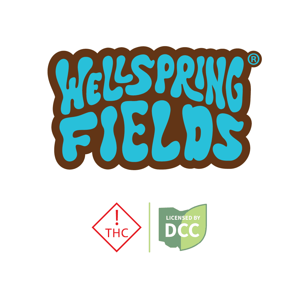 WELLSPRING FIELDS - MR. BETTER BAR - RSO CHOCOLATE -  [95MG] - 10PK
