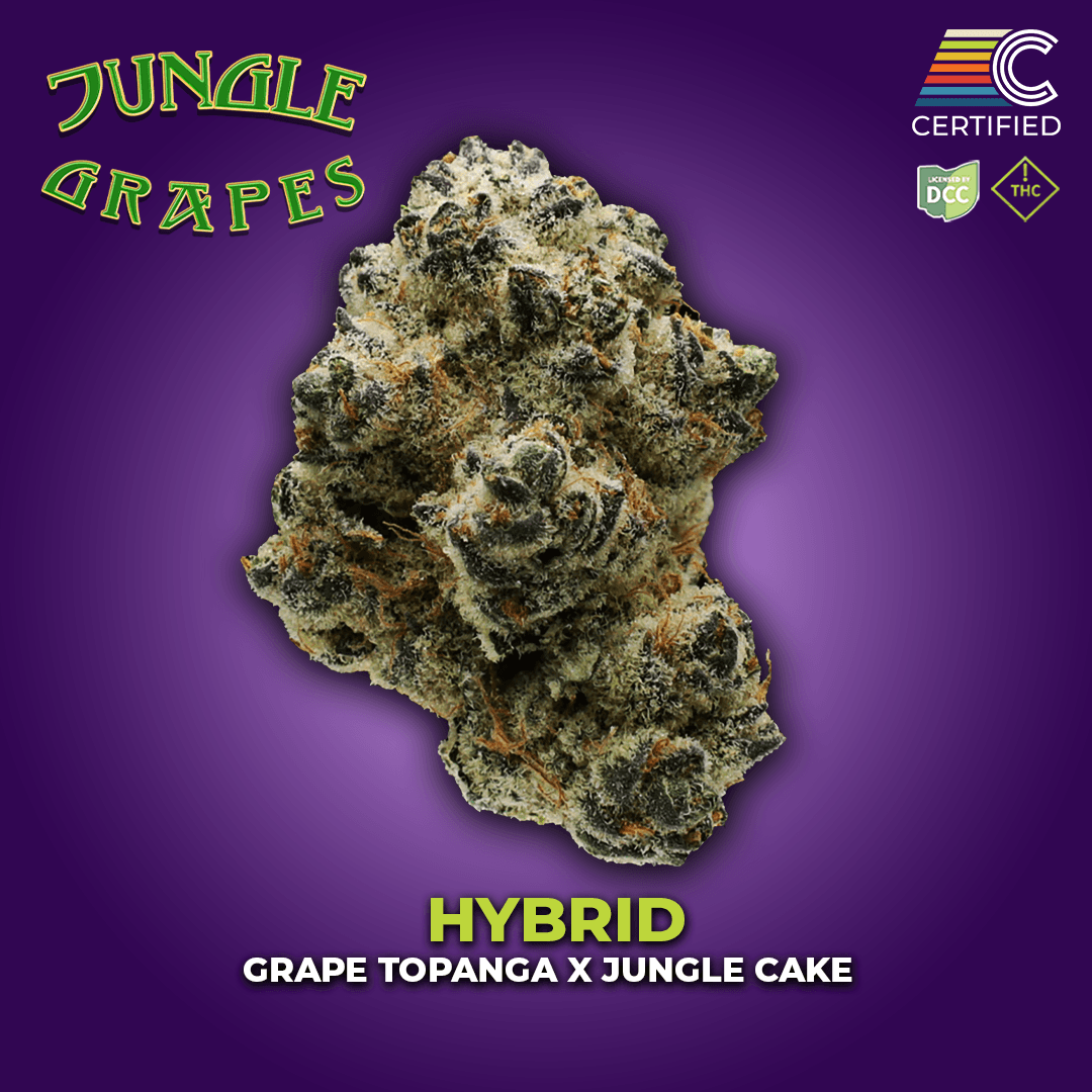 CERTIFIED CULTIVATORS - JUNGLE GRAPES - [2.83G] - HYBRID