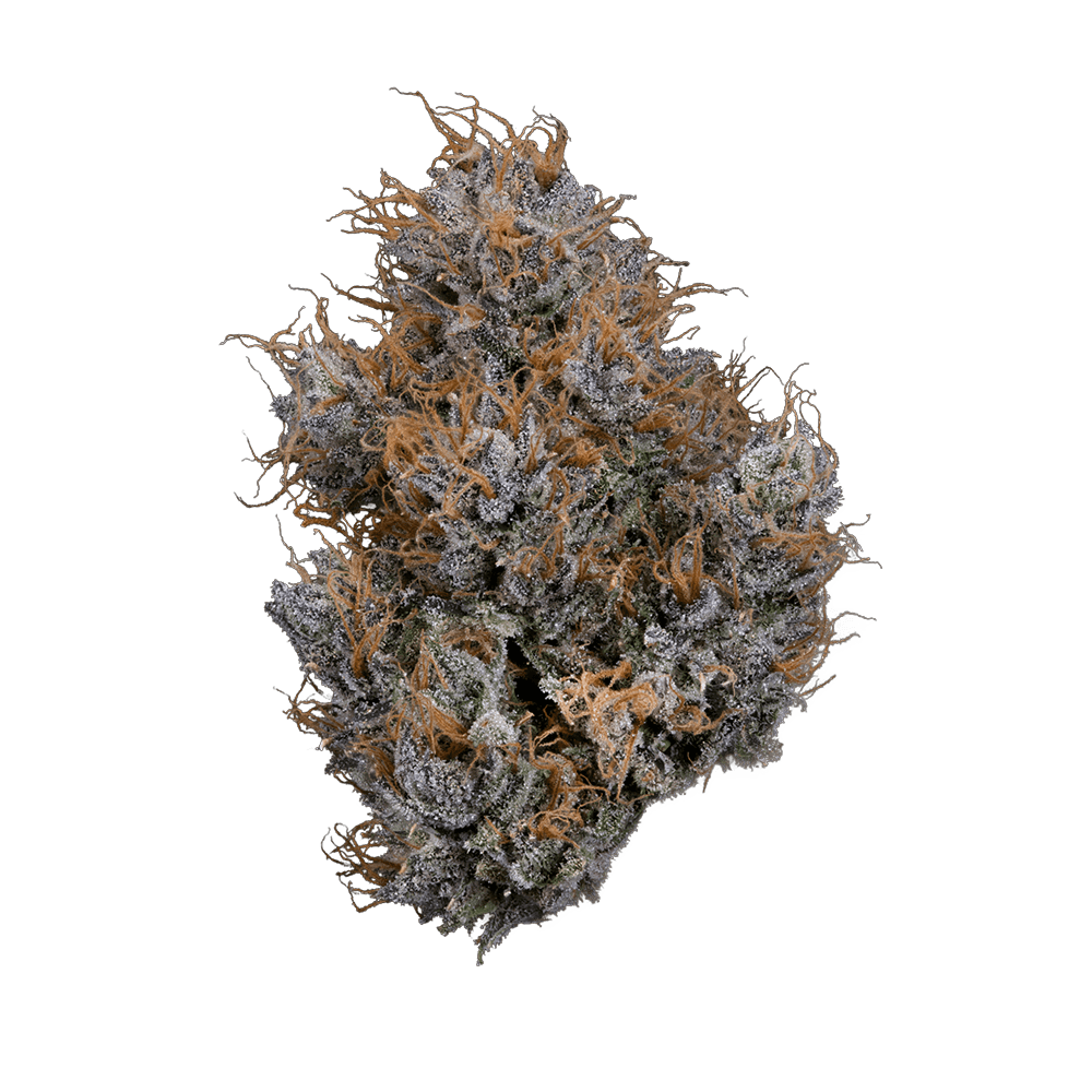 KLUTCH - FUMEZ - [3.54G] - INDICA