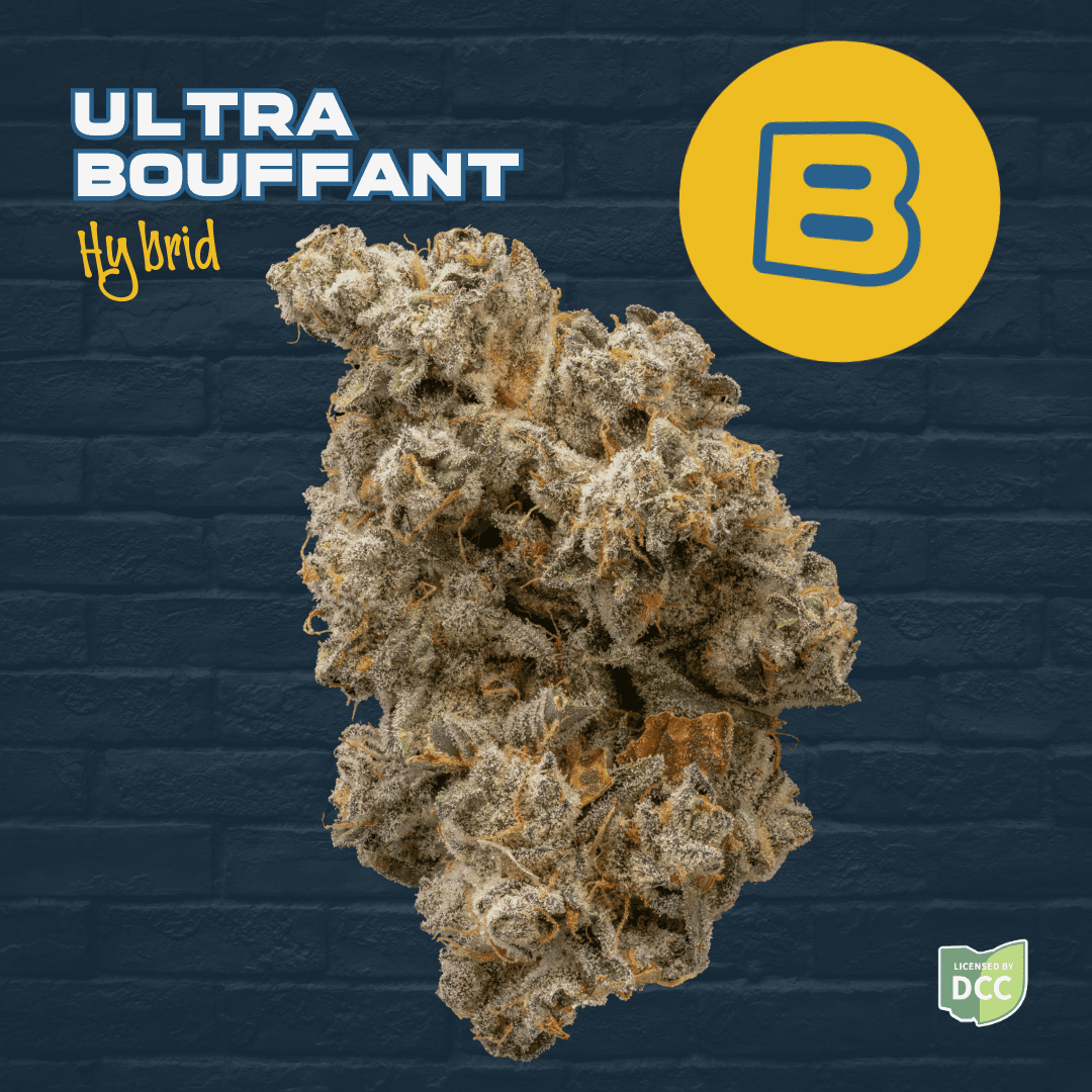 BUCKEYE RELIEF - ULTRA BOUFFANT  HYBRID
