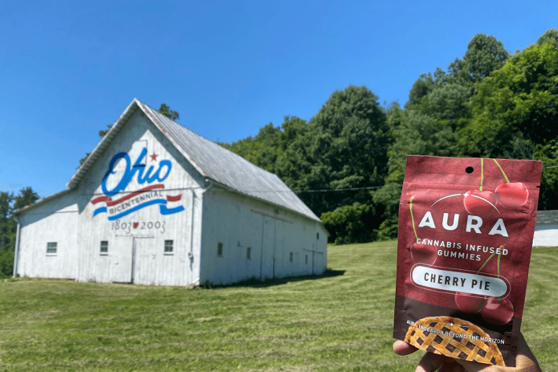 Cherry Pie Gummies +CBN (10-Day)