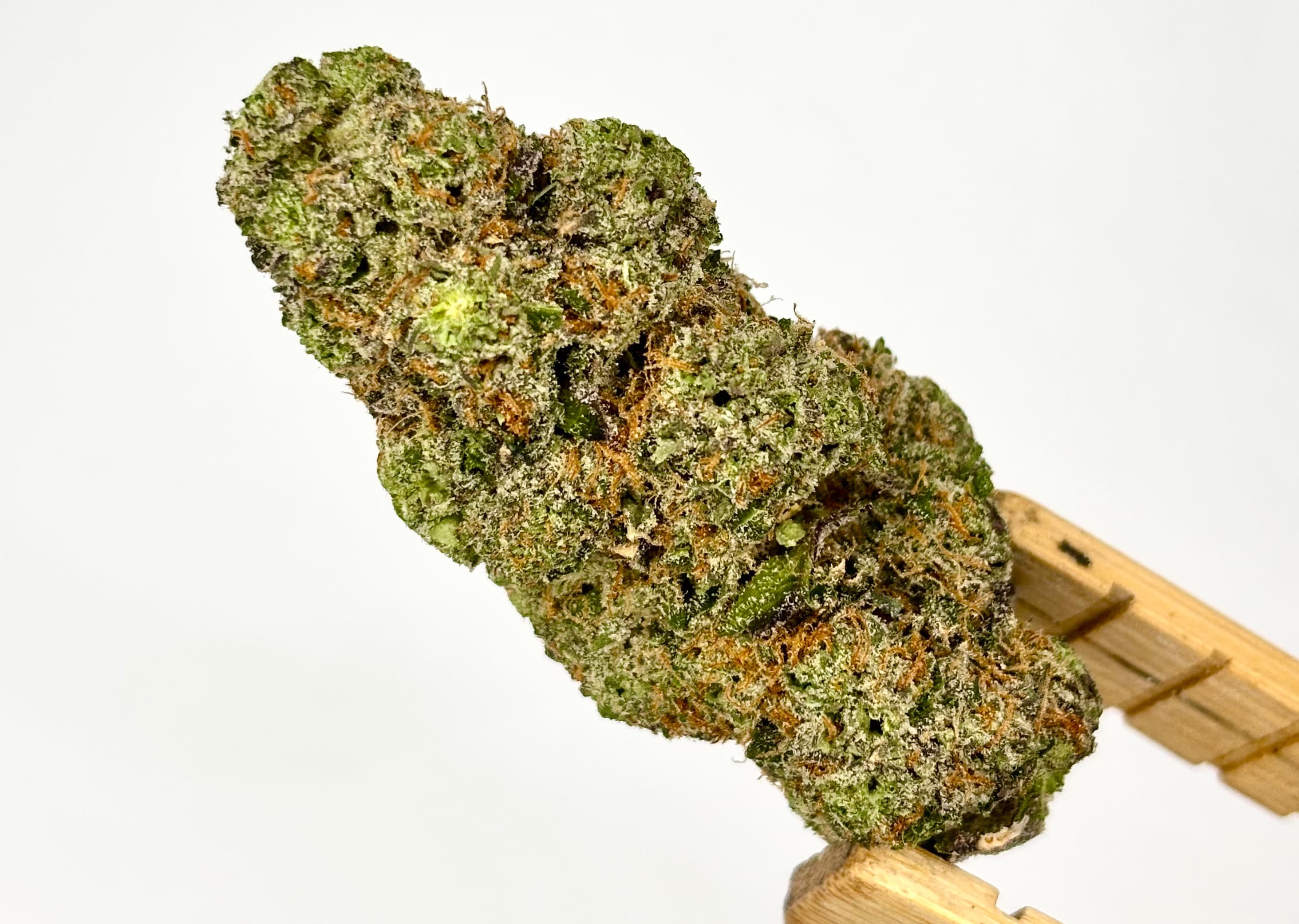 Bolo Runtz Bulk Flower