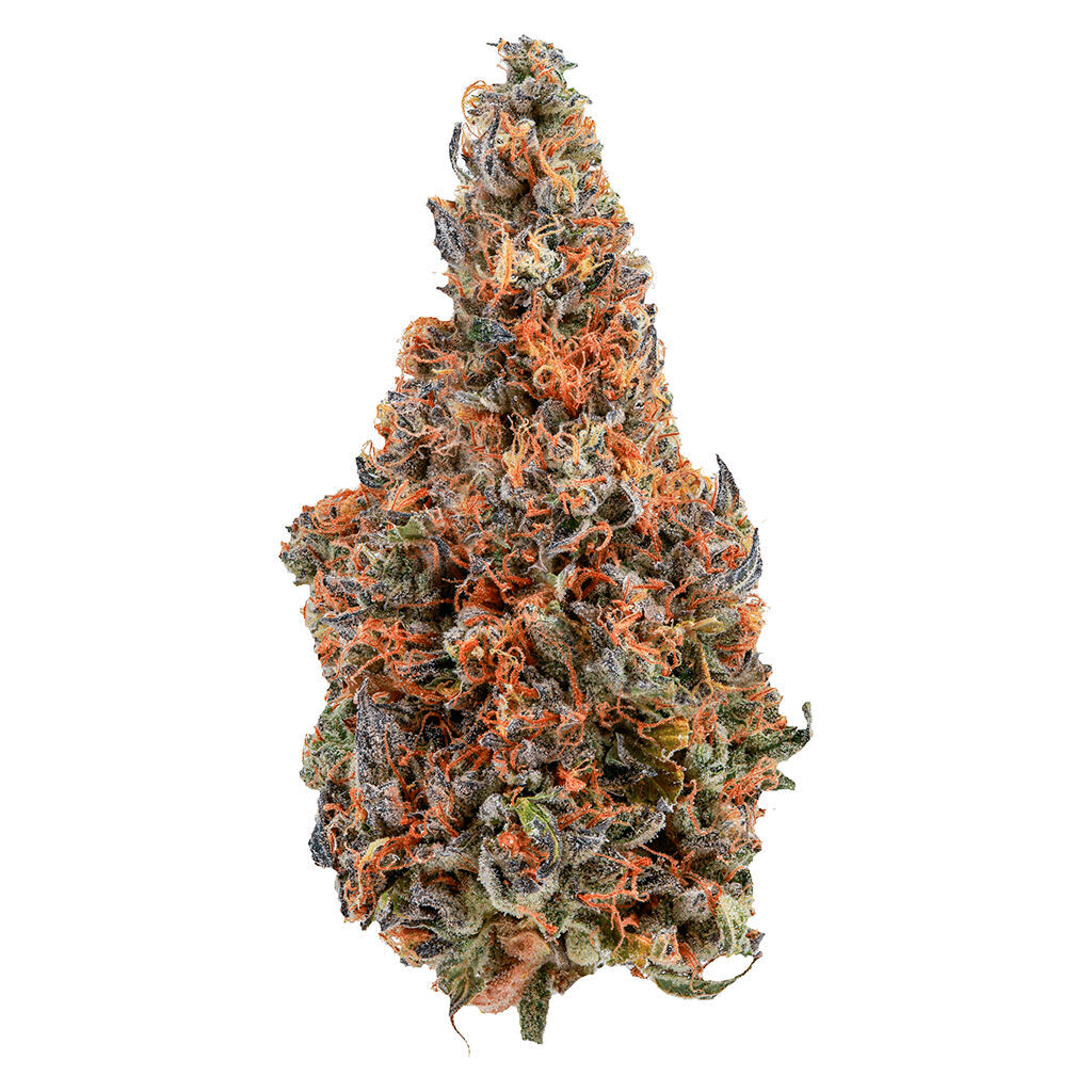 C4 💥💥💥 3.33% Terps