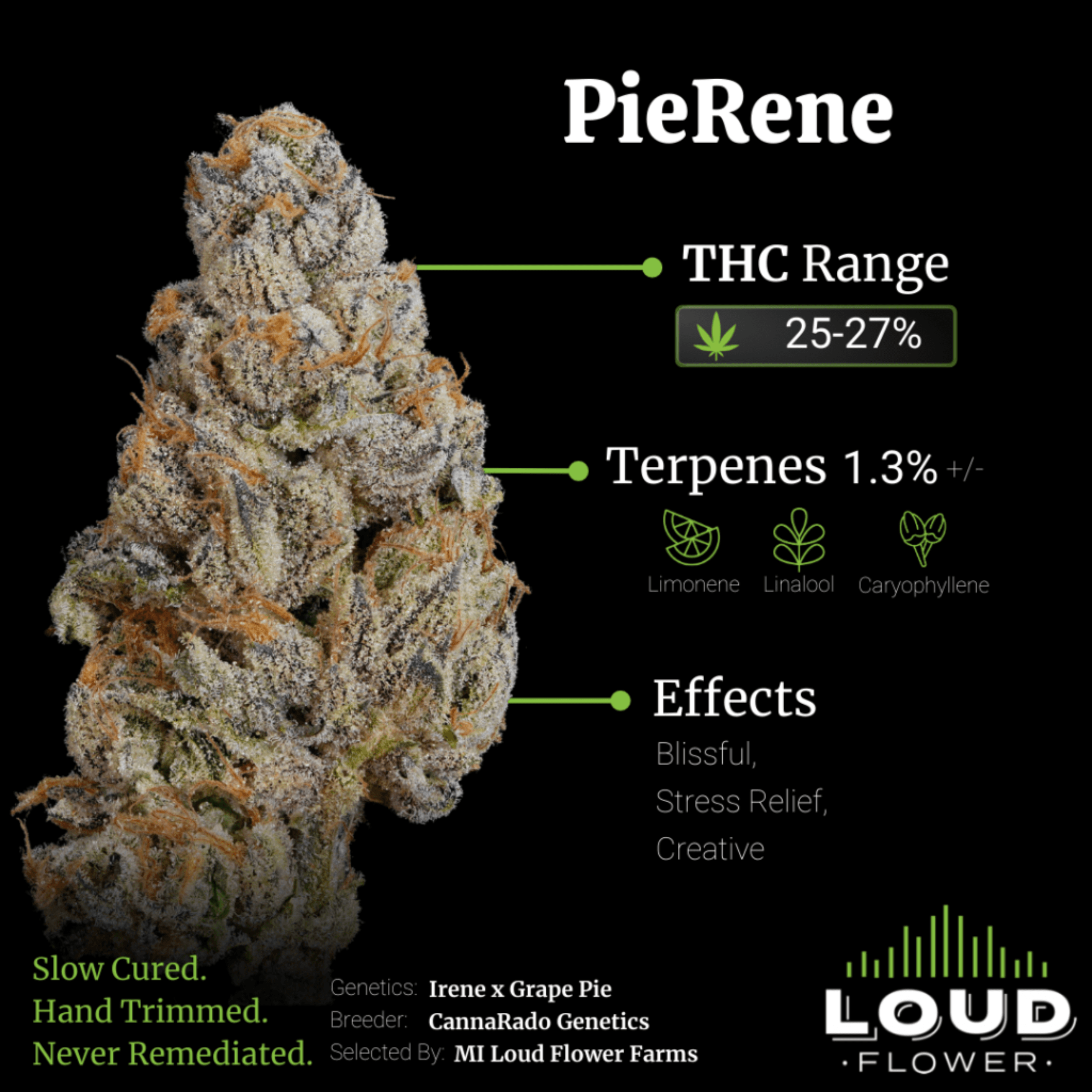 Buds Pierene