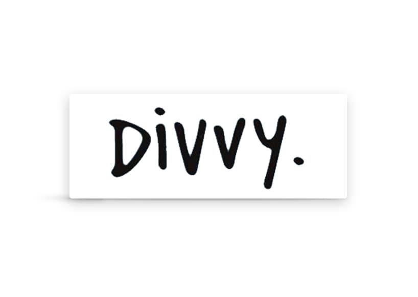 Divvy Blueberry 28g