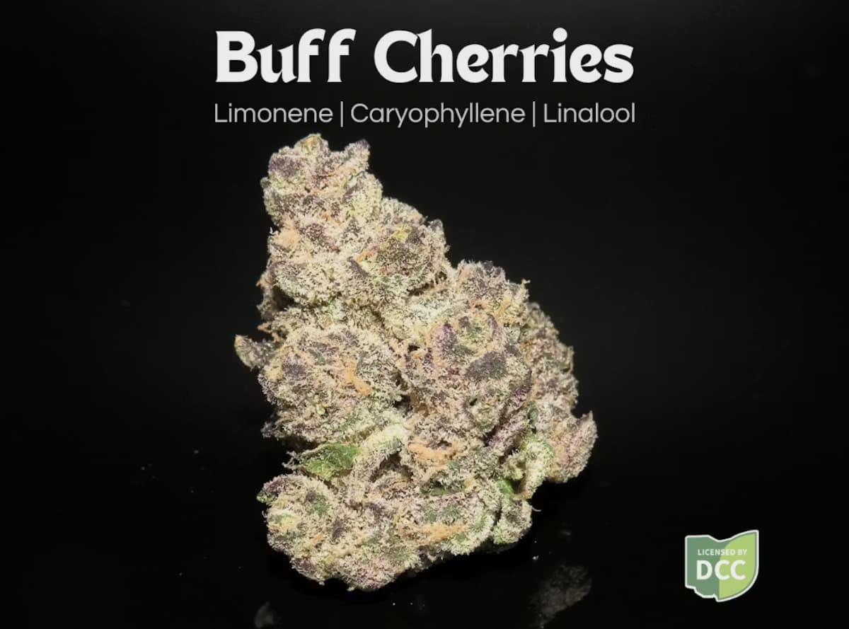 Buff Cherries