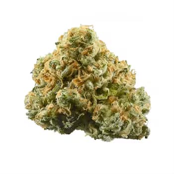 Cadillac Rainbow 8th 28.72%