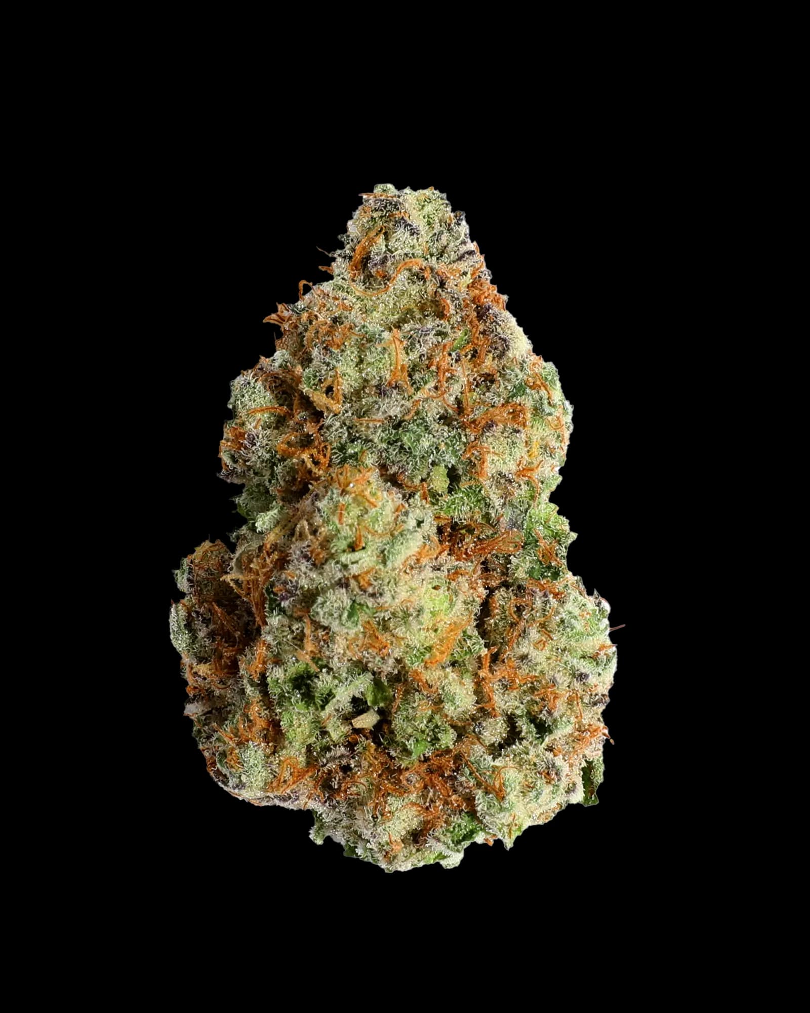 Blockberry Pre