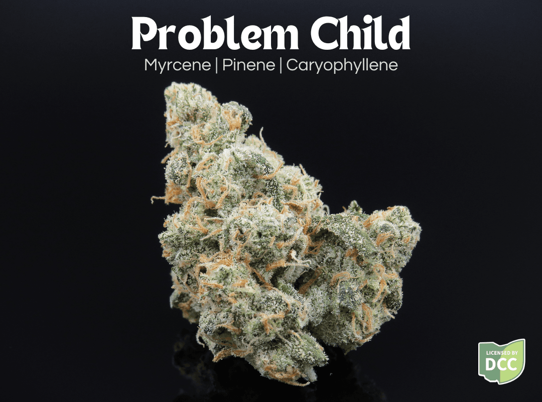 Problem Child
