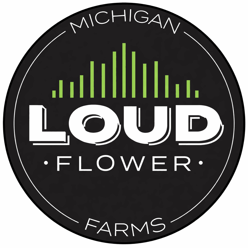 Double Burger Live Rosin