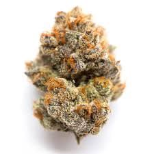 Bulk Flower Purple Sunset