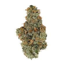 Bulk Flower Smalls Strawberry Gary