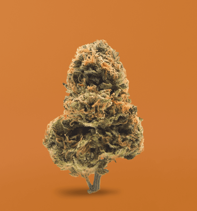 Happy Trails Signature Flower