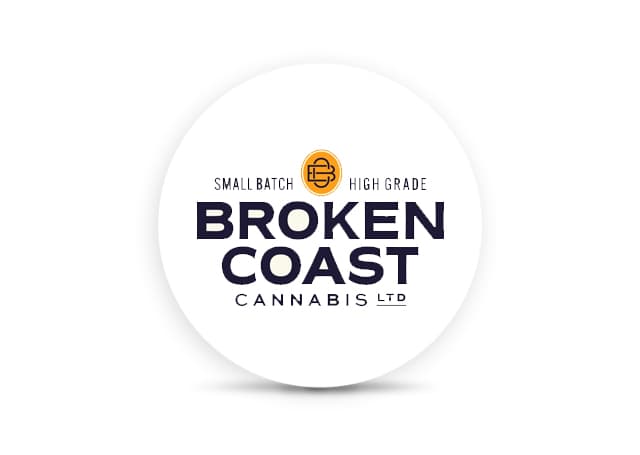 Broken Coast Platinum Pave Blunt 1x1g