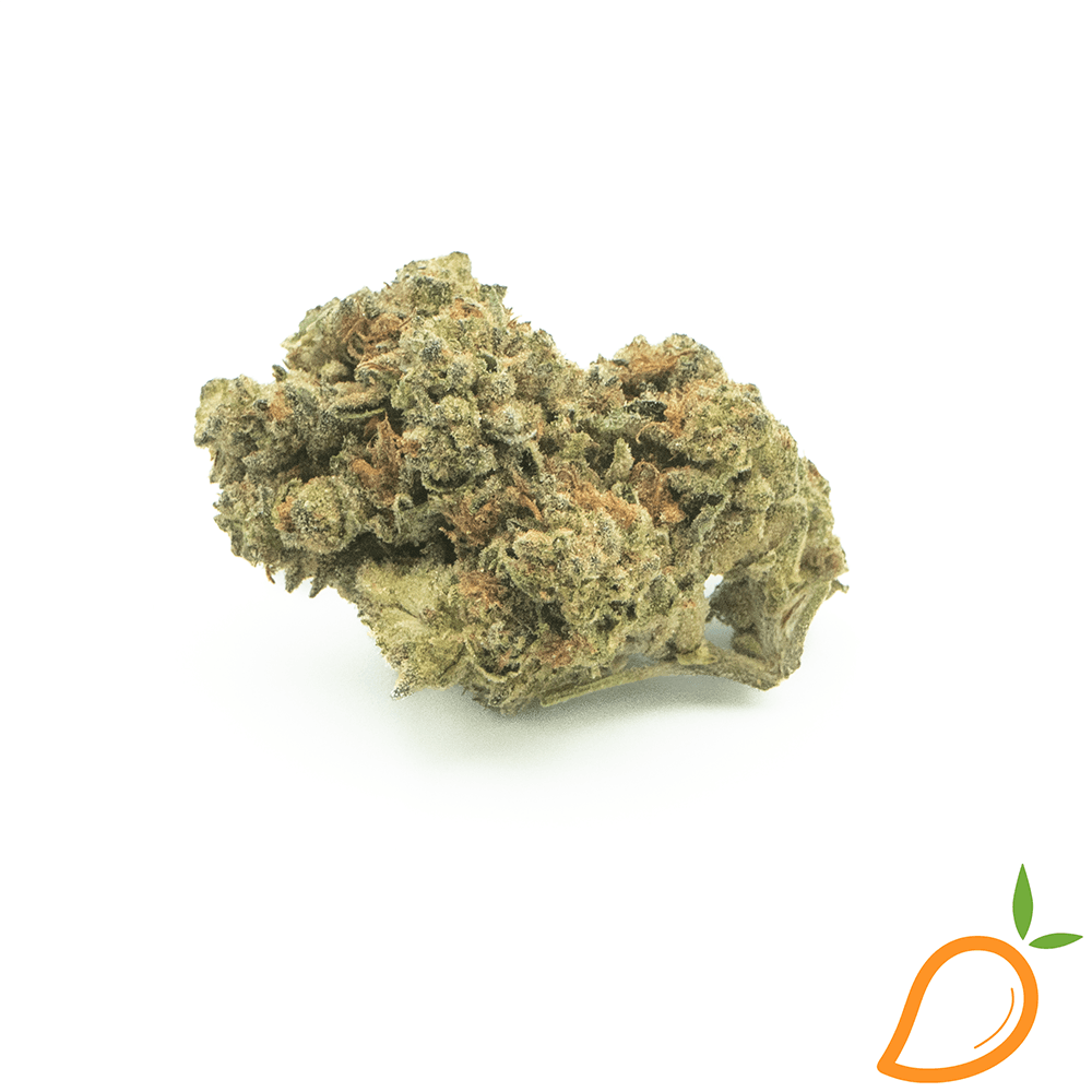 Chauffer Micros Crescent