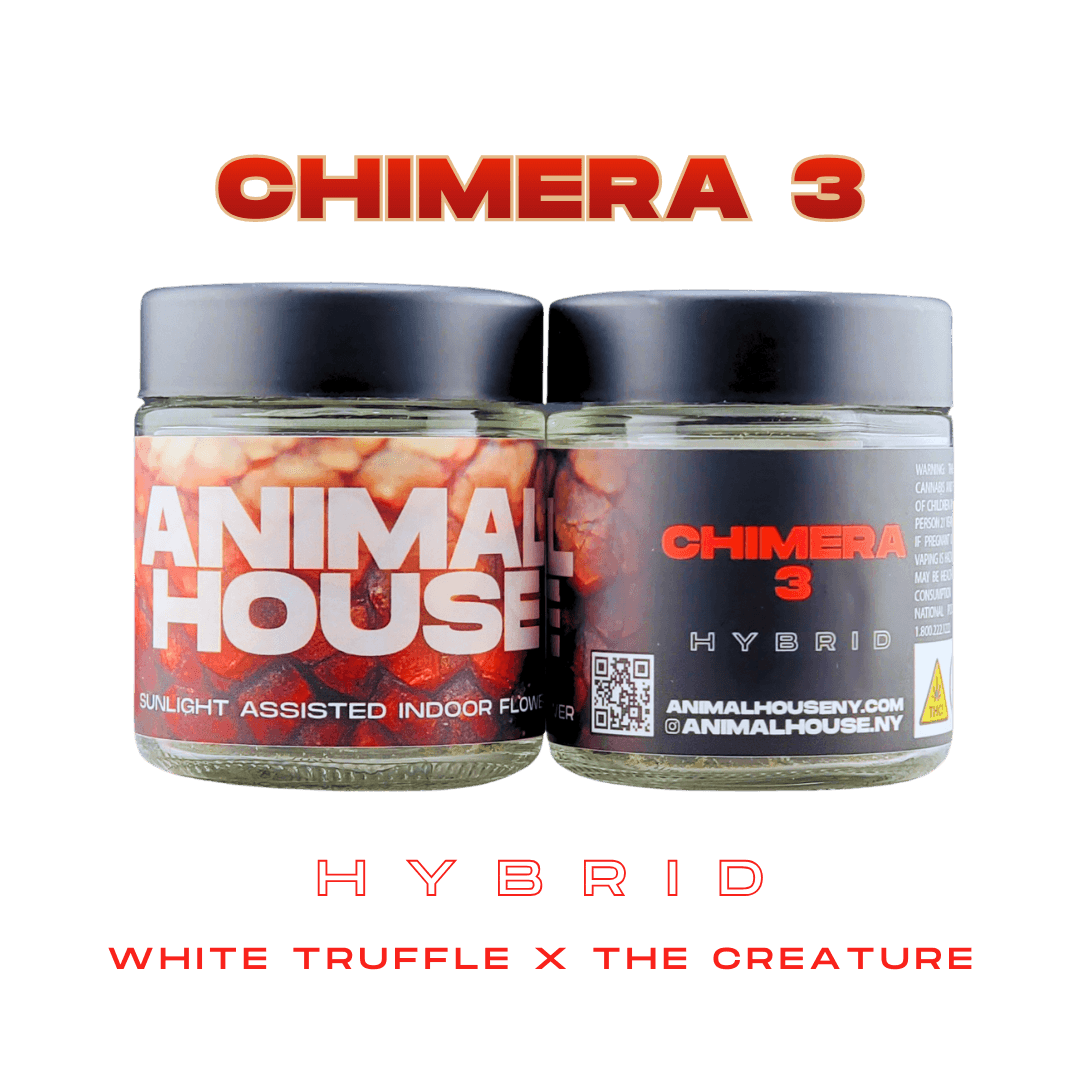 Chimera Release