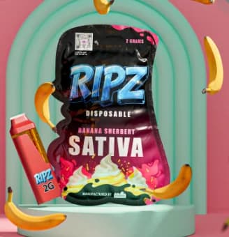 Banana Sherbet Disposable
