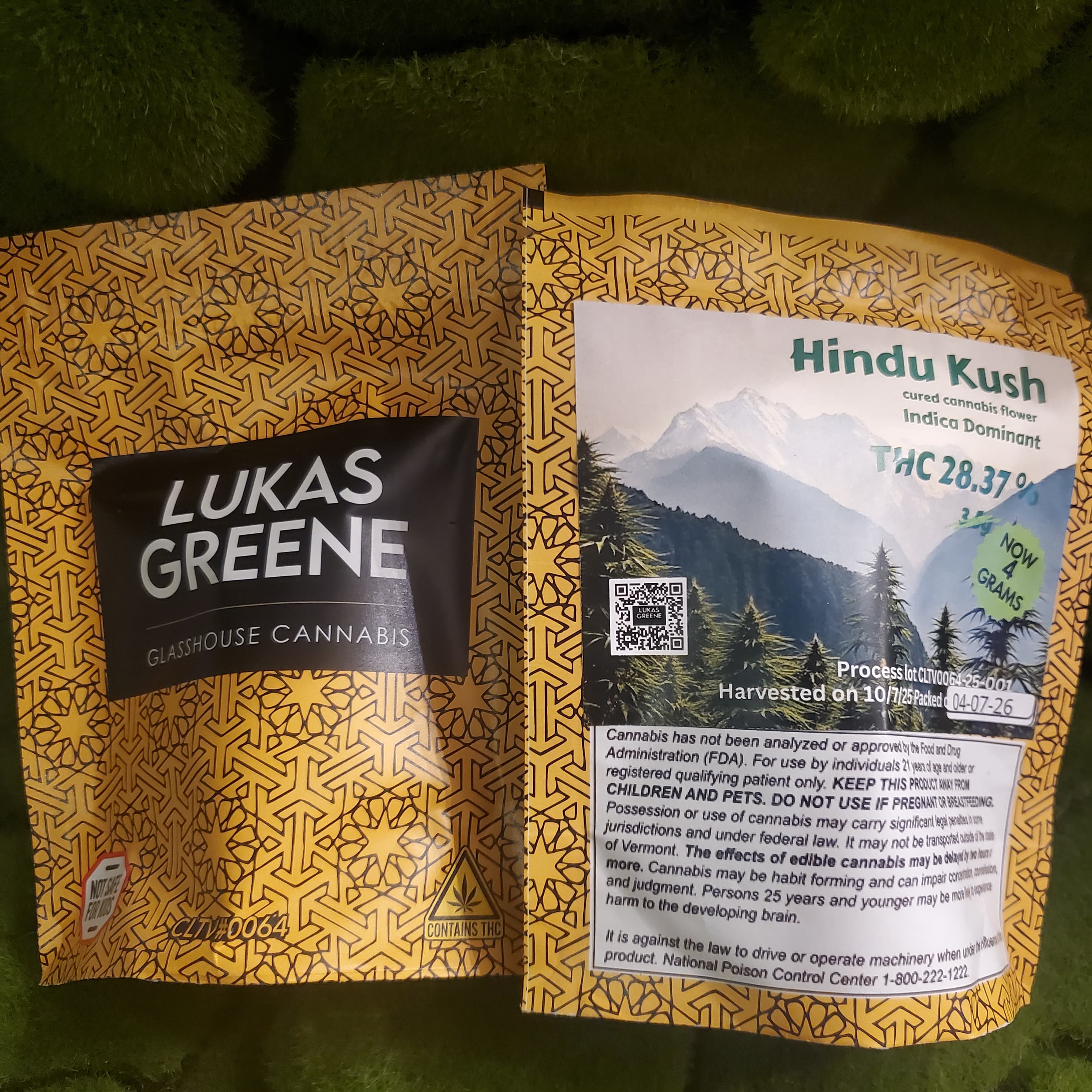 Pre Hindu Kush Glasshouse Cannabis