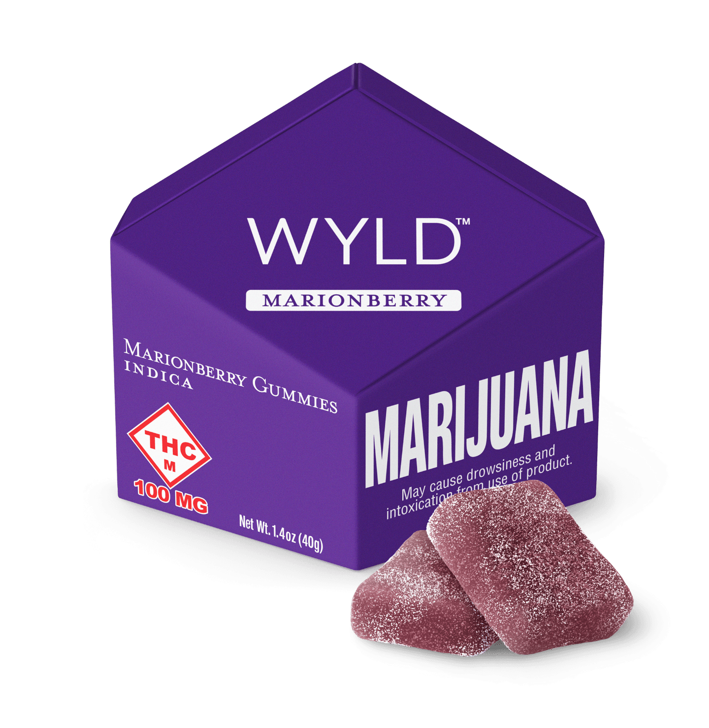 WYLD | MARIONBERRY INDICA GUMMIES | 100MG | 10PK