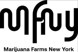 MFNY logo