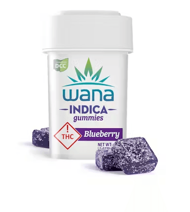 Sour Blueberry Gummies (10Pk)