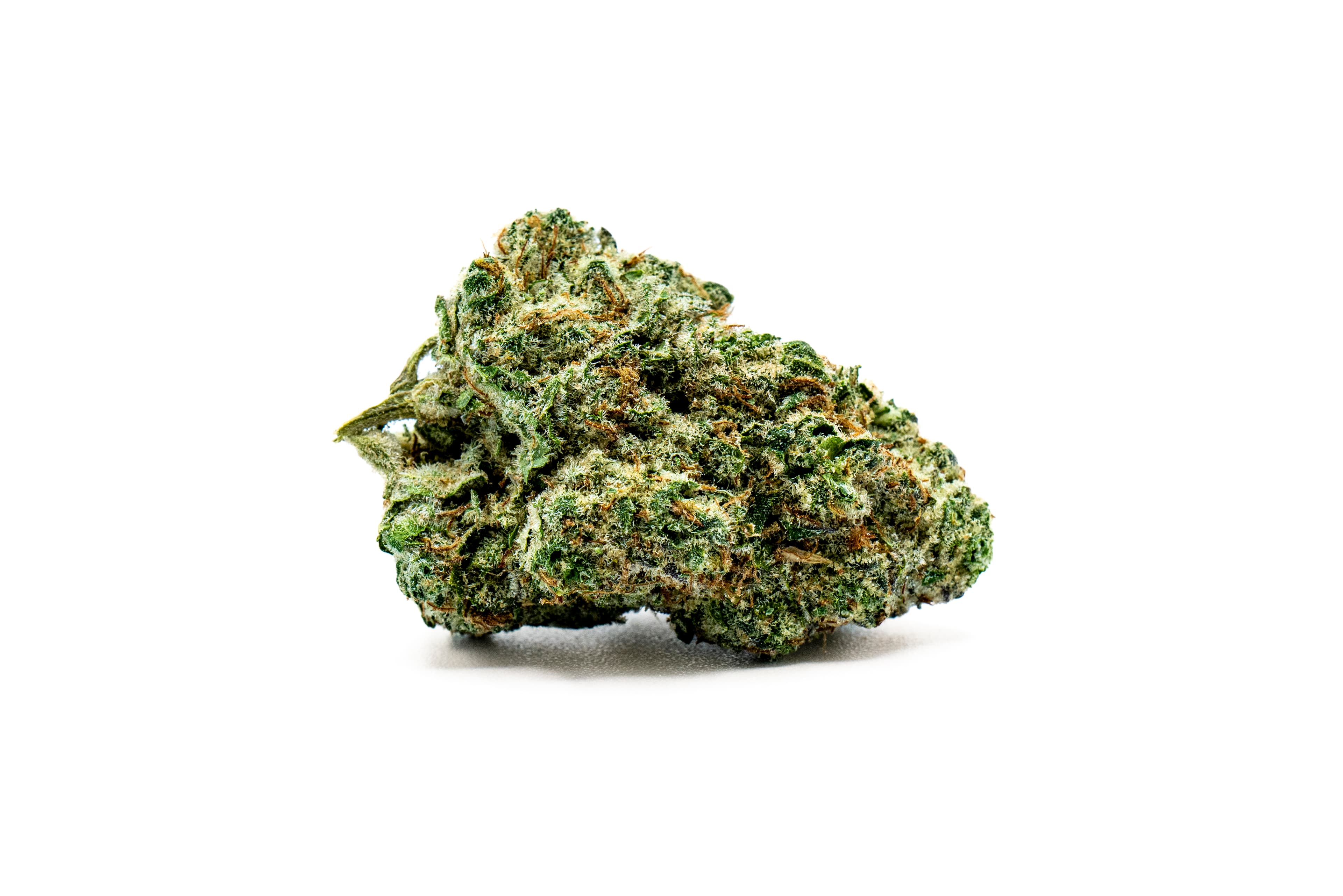 Cannalope Haze Flower