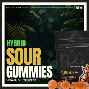 Sour Tangerine | H | 100mg | 10pk