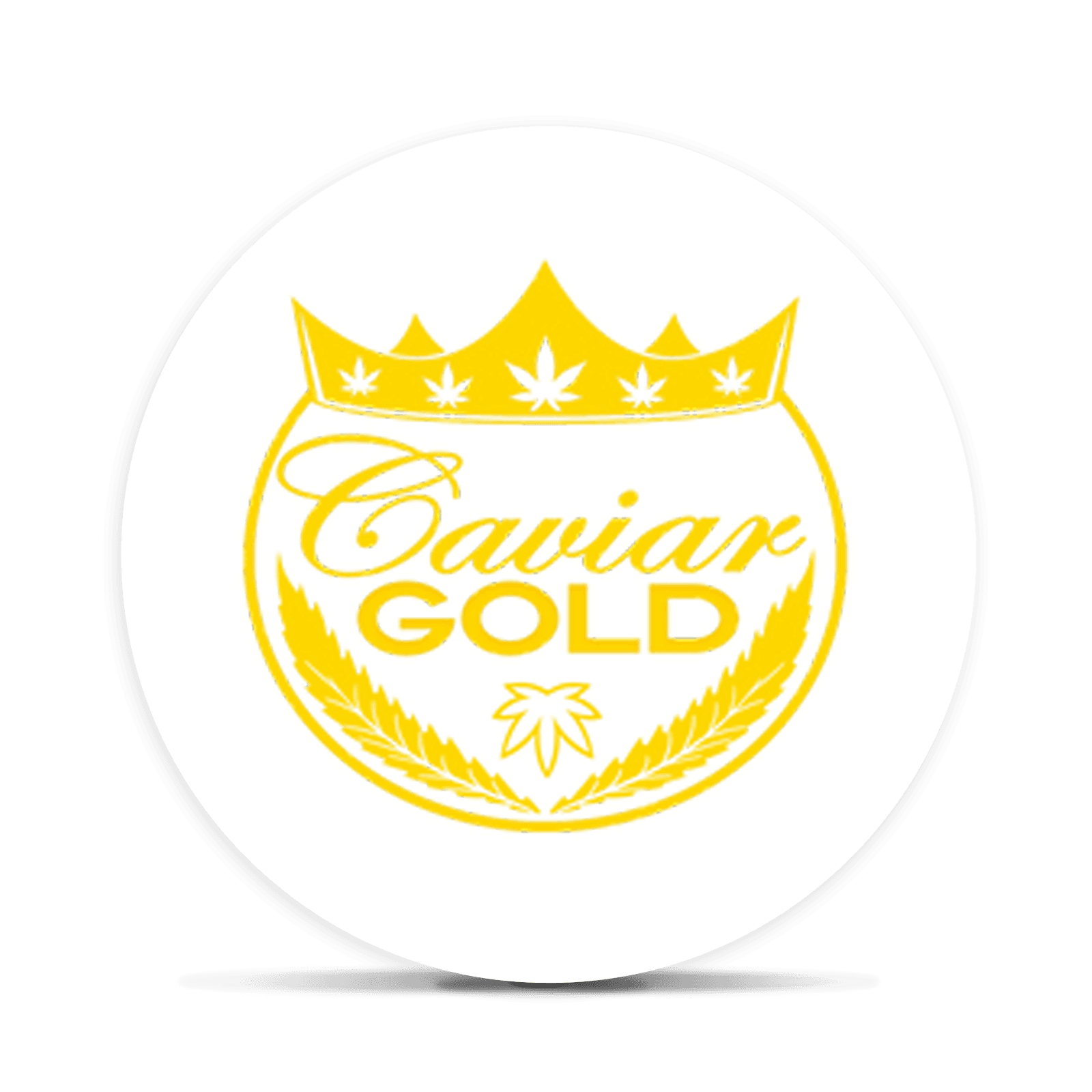 CAVIAR GOLD - Blue Glue