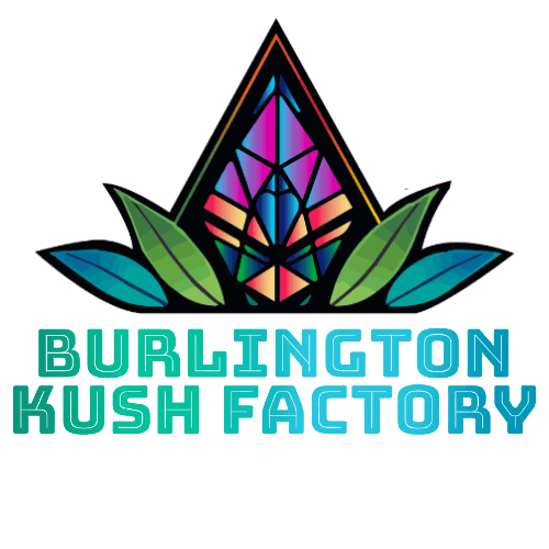 Burlington Kush Factory | Hippie Crasher Preroll | Prepack Preroll