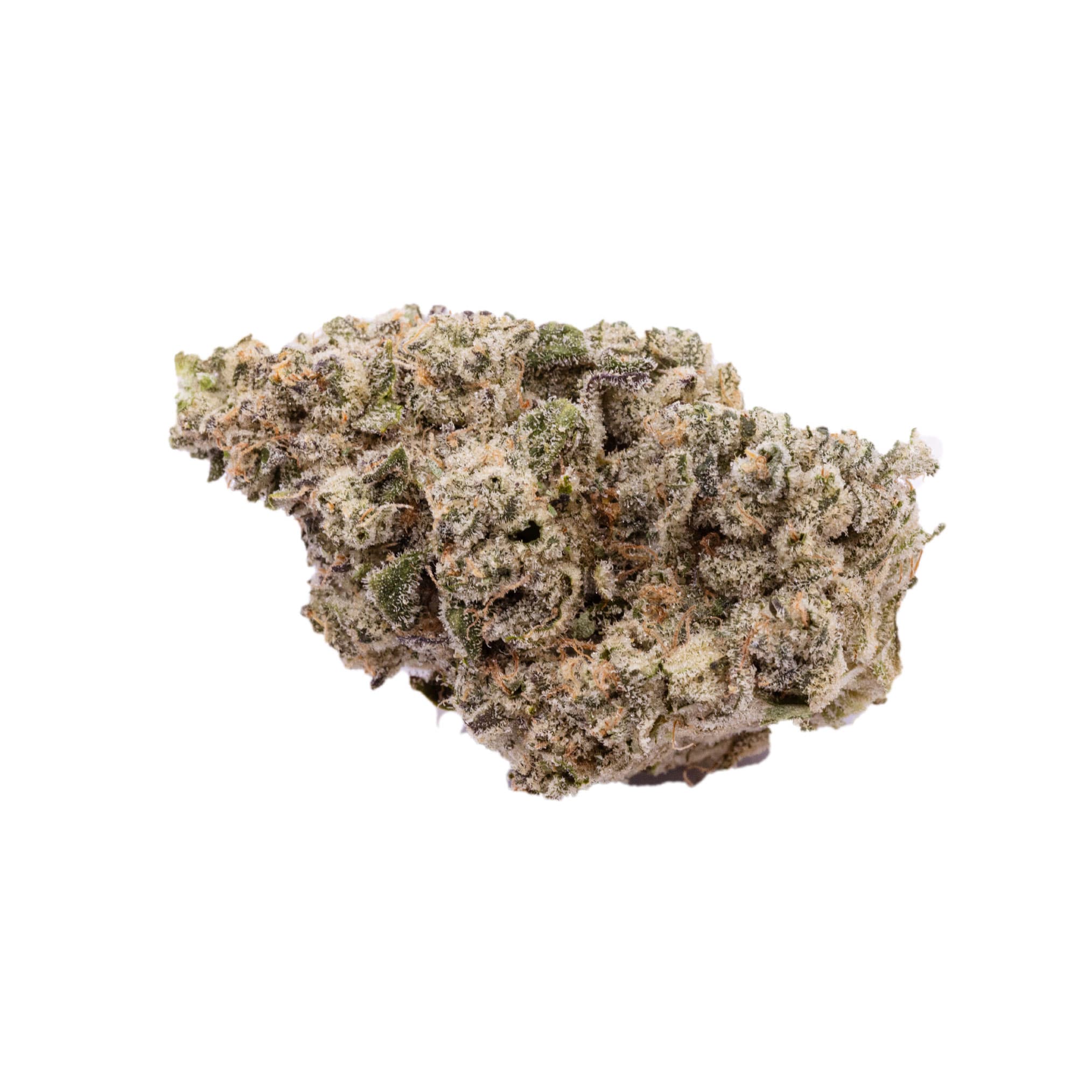 Tropicana Flower