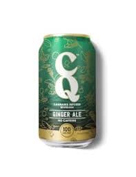 Ginger Ale Drink 12oz