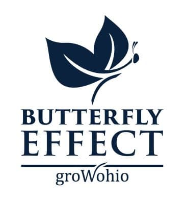 Black Jack - 3 Pack Butterfly Effect Luster Pod