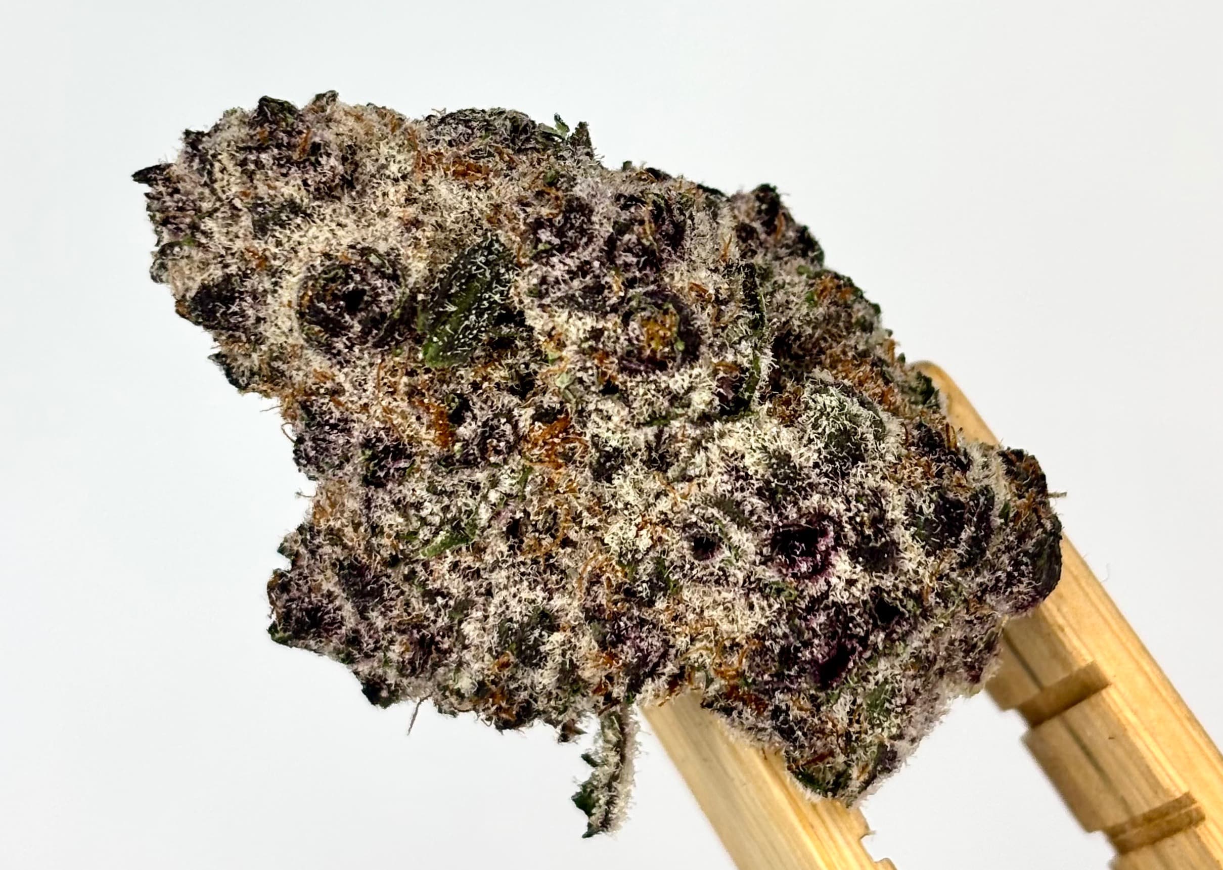 Buff Cherry Bulk Flower Platinum