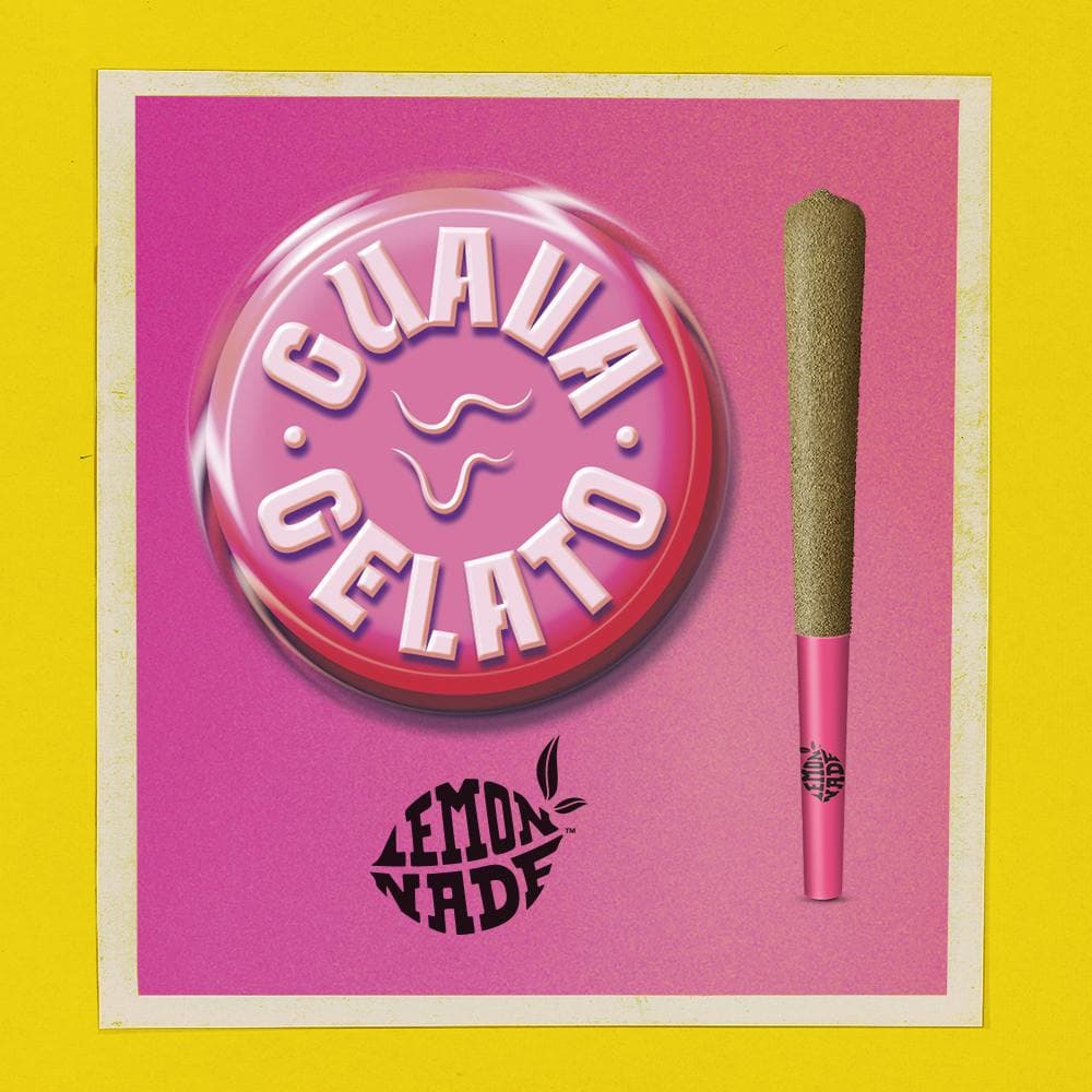 Guava Gelato Infused Preroll
