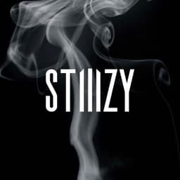 STIIIZY logo