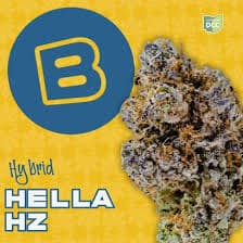 Hella Hz