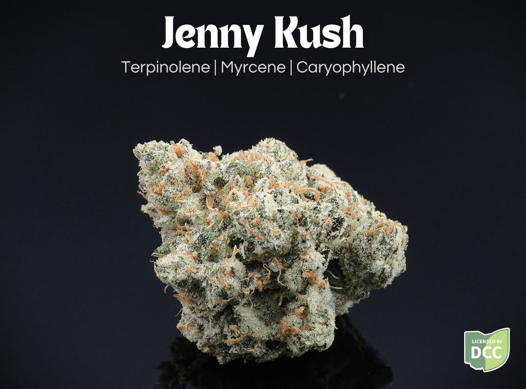 Jenny Kush