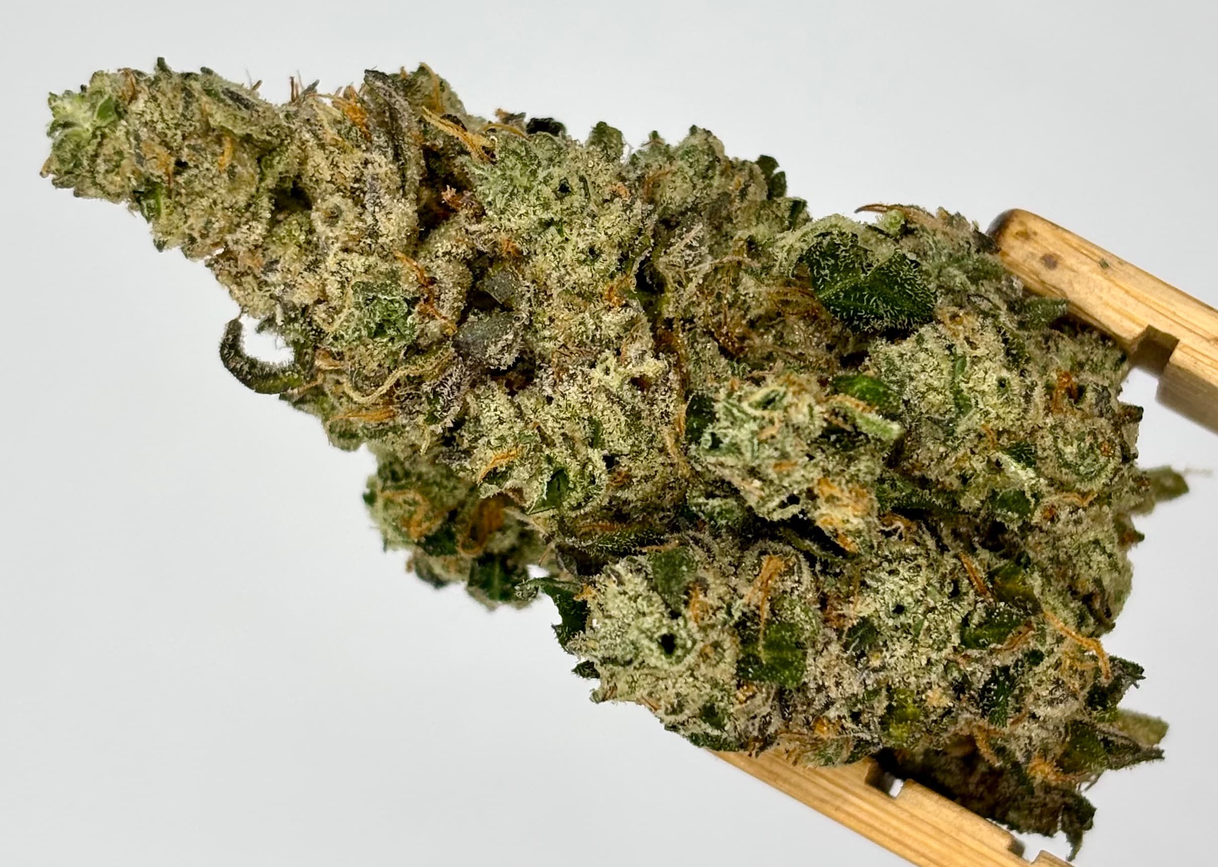 Msg Bulk Flower Yellow Tier